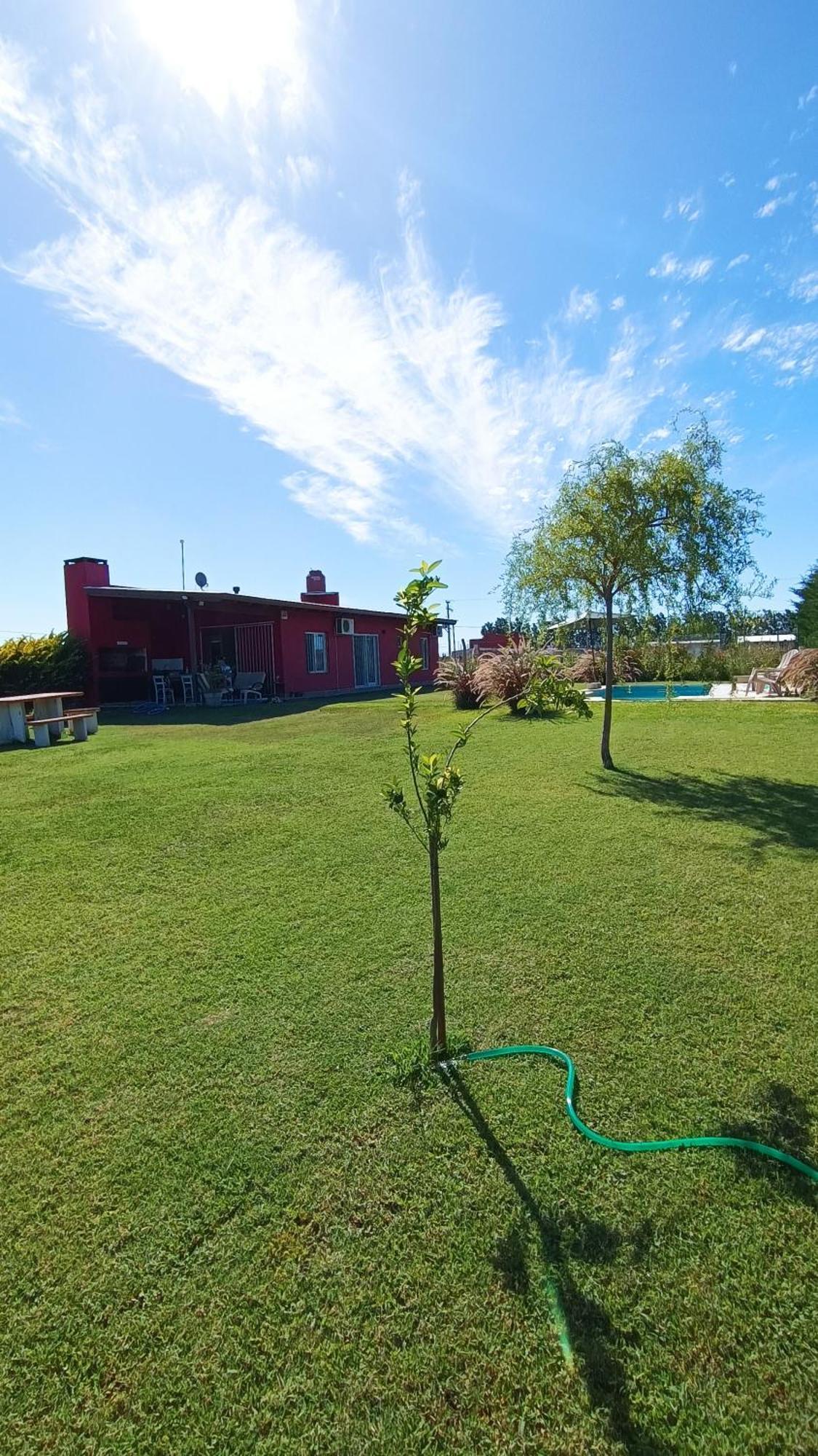 La Quinta De Loli Villa San Pedro  Eksteriør bilde